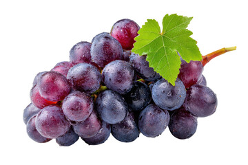 Fresh ripe dark red grapes with a green leaf isolated on transparent background. Ripe red grapes with water droplets and leaf isolated on white background.