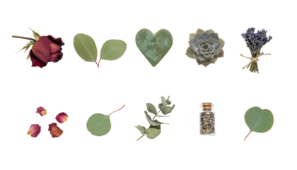 Romantic Floral and Heart Elements Isolated on Black Background