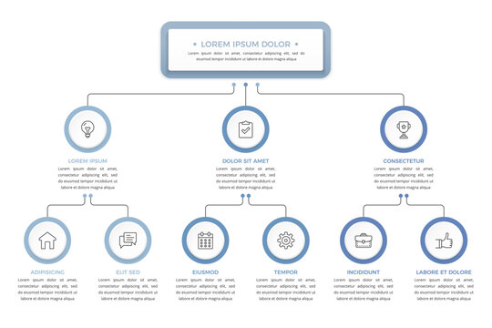 Flowchart infographic template showing organizational structure with three main branches and six sub elements with icons and text