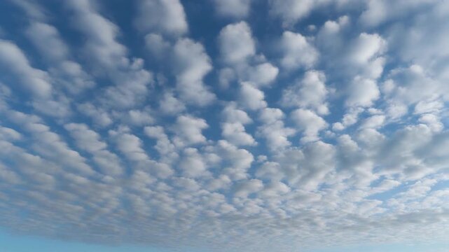 blue sky with many small white cumulus clouds