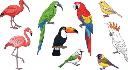 Fototapeta premium Colorful birds, cartoon illustration, exotic species, tropical plumage, parrot drawing, finch artwork, toucan clipart, flamingo design, avian diversity, bird collection, educational art