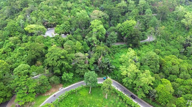 Aerial video shows many cars on a winding and uphill road in a green mountain full of trees.