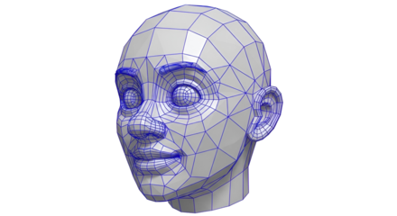 Wireframe Model of a Human Face with Blue Lines 3D model