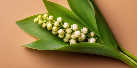 Obraz premium Lily of the valley floral arrangement lying on a beige surface for wedding invitation stationery mockup design with elegant botanical elements and copy space