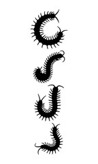 Obraz premium Caterpillar insect silhouette illustration, caterpillar vector art, caterpillar vector, caterpillar art design