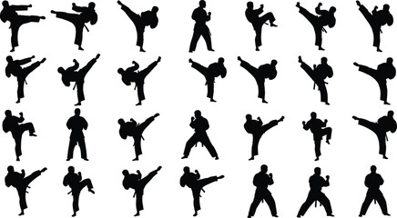 Black silhouettes of karate martial arts masters set including various high kicks defensive stances fighting poses and traditional kata movements isolated on white background (25 words) © MstKhodeza