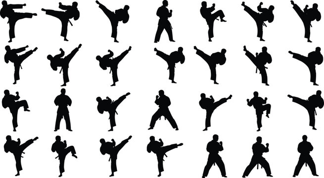 Black silhouettes of karate martial arts masters set including various high kicks defensive stances fighting poses and traditional kata movements isolated on white background (25 words)