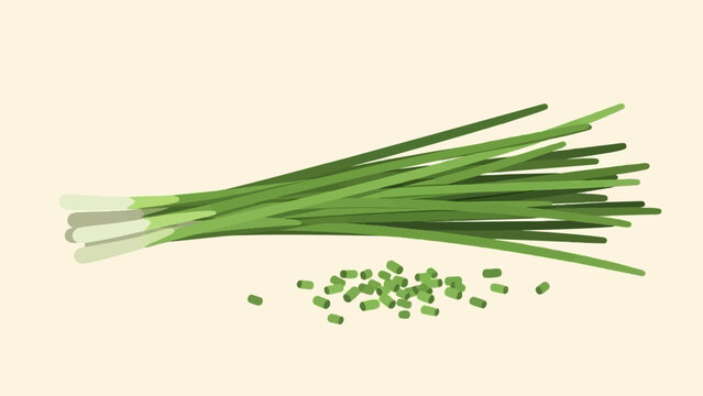 A bundle of fresh green chives with a pile of chopped pieces beside it