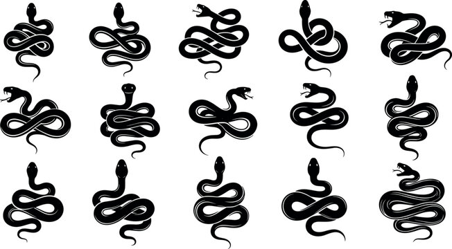 Set of Coiled Snake Silhouettes Vector Illustration Isolated on White Background Featuring Black Serpents in Various Poses for Graphic Design