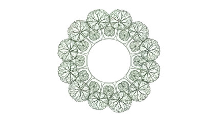 Top view circular pattern of trees, green foliage, isolated on white background.