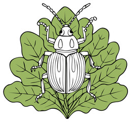 Stylized white beetle insect with black outline resting on a green leaf