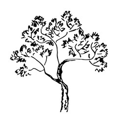Deciduous tree with a lush crown. A simple hand-drawn vector drawing with a black outline. Nature, plants, forest and vegetation. Ink sketch.