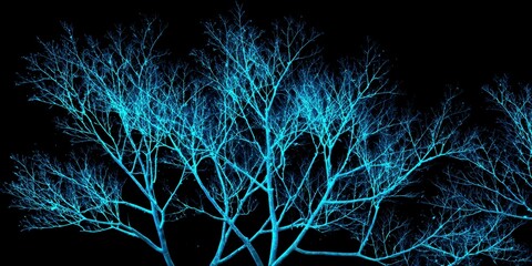 a bioluminescent tree with glowing branches against a black background.