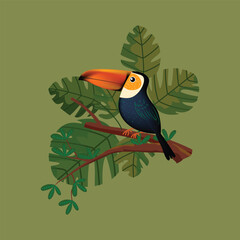 Toucan bird standing on a branch of tree vector illustration. Exotic birds for childrens design of prints, posters, cards.