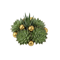 Succulents with golden spheres plant arrangement
