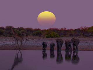 Fototapety na wymiar - Fototapeta24.pl