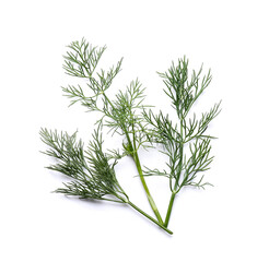Fototapeta premium Fresh green dill on white background