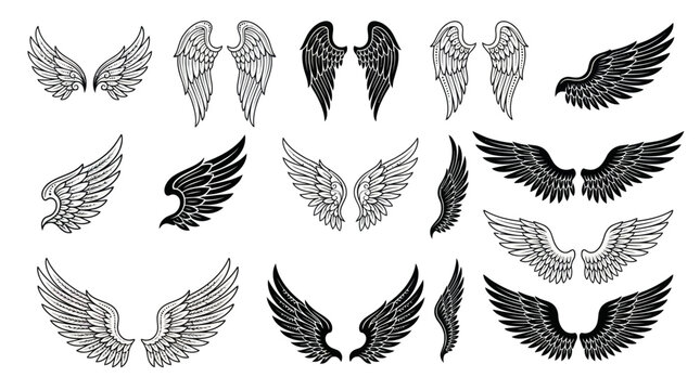Set of grayscale wing illustrations featuring angel, bird, and decorative wing designs in black, white, and gray for branding, logos, and design projects