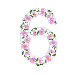 The white number 6 is decorated with an ornament of pink flowers. Computer illustration.