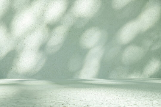 Minimalist Sage Green Textured Wall and Floor Background with Organic Soft Shadows and Natural Light.