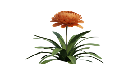 Vibrant orange flower with lush green leaves isolated on transparent white background