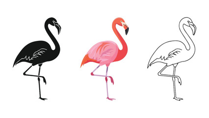 Obraz premium Set of three flamingo illustrations standing on one leg in black silhouette, watercolor color, and outline styles