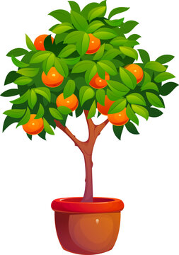 Cartoon Chinese Lunar New Year orange tree in pot symbolizing luck, prosperity and abundance. Vector festive traditional Asian plant icon or game asset with mandarin citrus fruits and green leaves