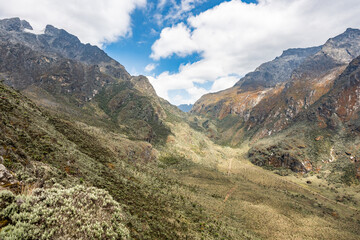 Fototapeta premium High-altitude valley in Rwenzori Mountains, Uganda