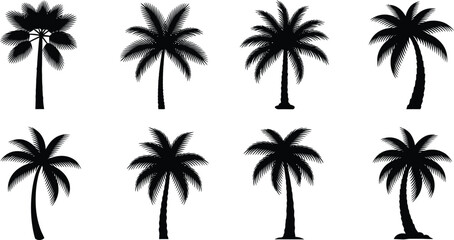 Obraz premium Collection of eight realistic black silhouette palm trees with detailed fronds and trunks, perfect for enhancing tropical and summer-themed designs.