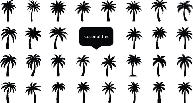 Abundant array of 32 black silhouette palm trees, offering a rich variety of shapes and sizes for creating vibrant tropical landscapes and themes.
