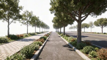 Obraz premium Perspective of a wide pedestrian walkway and asphalt road separated by a green belt featuring tall pine trees and ornamental garden plants.
