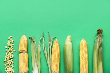 Obraz premium Fresh corn cobs and kernels on green background