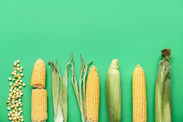 Fototapete Zu Essen Fresh corn cobs and kernels on green background  © Pixel-Shot