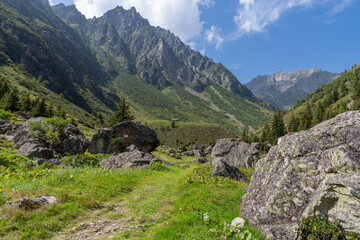 Gurtnellen mountain valley path leading through the Swiss Alps