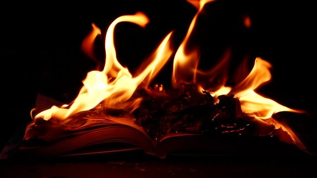 Slow motion open book burning in fire, fire flame, burning old paper on ground