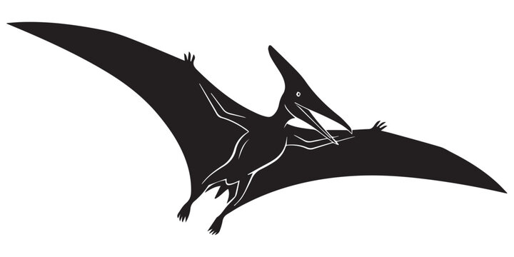 Flying pterodactyl dinosaur black silhouette vector illustration white background