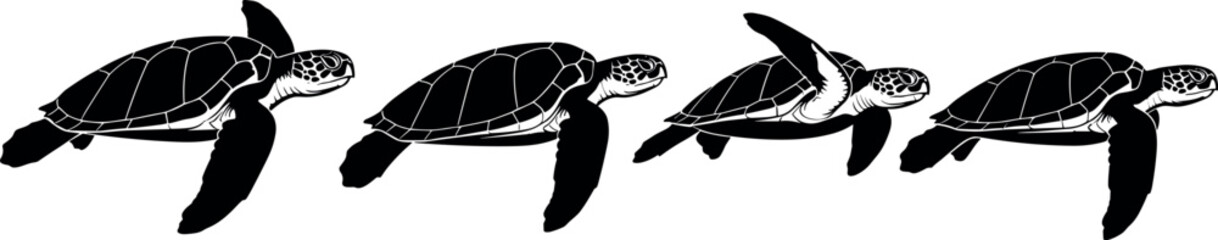 Black and white sea turtle swimming sequence illustration with four stages of flipper movement for animation frames or nature design. © BIPUL