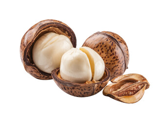 macadamia nuts on white background, close-up