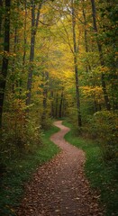 Obraz premium A winding dirt path through a dense, lush forest during the quiet autumn season, perfect for hiking and outdoor adventure ,scenery ,landscape ,ground