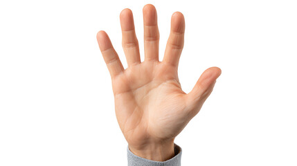 Fototapeta premium A human hand with fingers extended, displayed against a white isolated background.