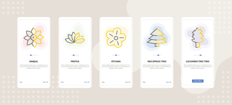 onboarding screen template for nature mobile app ui with jonquil, protea, petunia, red spruce tree, cucumber tree tree icons.
