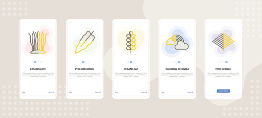 onboarding screen template for nature mobile app ui with fasciculate, philodendron, pecan leaf, rainbow behind a cloud, pine needle icons. © Farahim