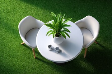 Outdoor table with potted plant and chairs on green lawn viewed from above in sunlight.