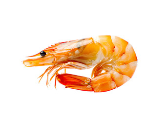 prepared shrimp isolated on a white background