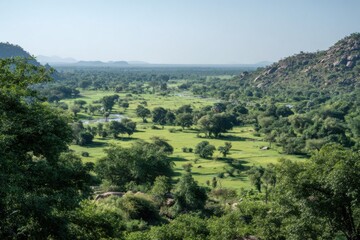 Obraz premium Explore the expansive landscapes of Dinder National Park with its lush greenery and stunning rock formations under a clear blue sky
