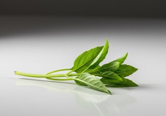A vibrant, fragrant sprig of culinary herb lying on a clean white surface, highlighting its texture and green color, ready for cooking ,fragrance ,culinary ,horizontal