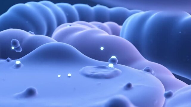 Detailed 3D animation of the human colon with glowing particles representing absorption or microbiome interaction.