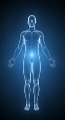 Blue Transparent Human Body with Glowing Core