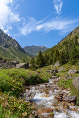 Mountain stream flowing Gurtnellen alpine landscape Switzerland