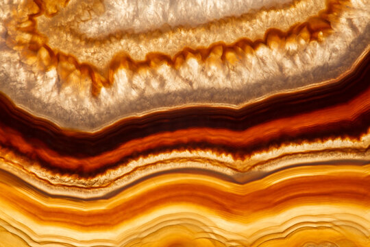 An agate slice showing bands of colorful minerals and crystals c